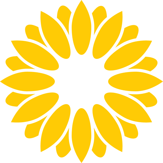 sunburst icon